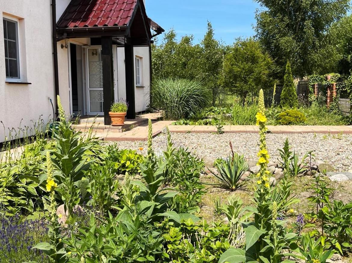 Pokoje gościnne Neptunia Rusinowo  Zewnętrze zdjęcie